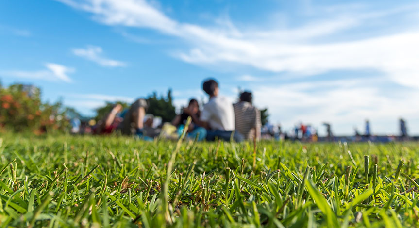People having fun on a picnic on the grass with bright blue sky. 